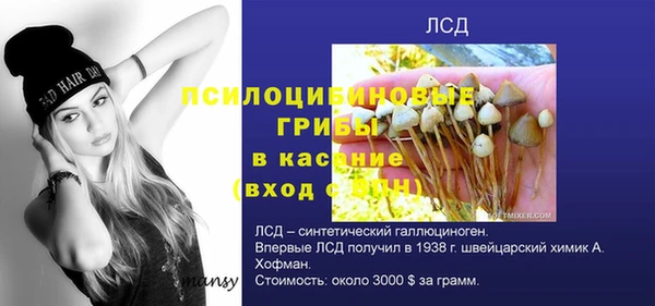 тгк Аркадак