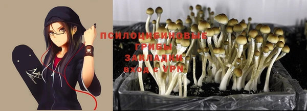 тгк Аркадак
